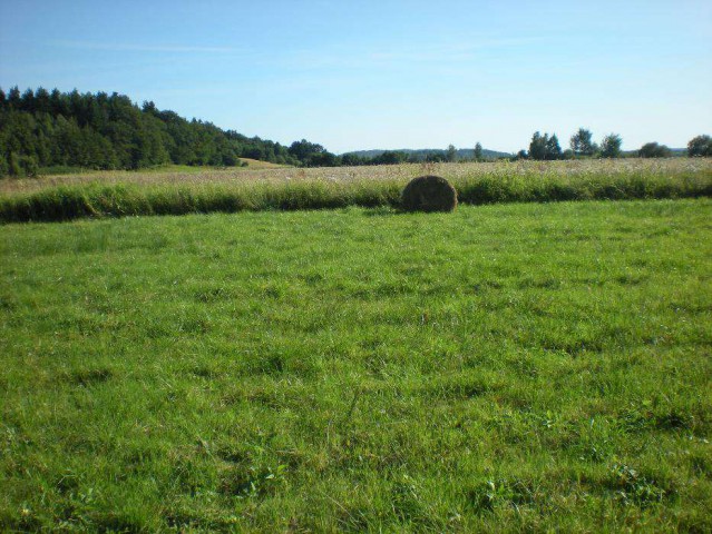 Działka rolna Janowice. Zdjęcie 1