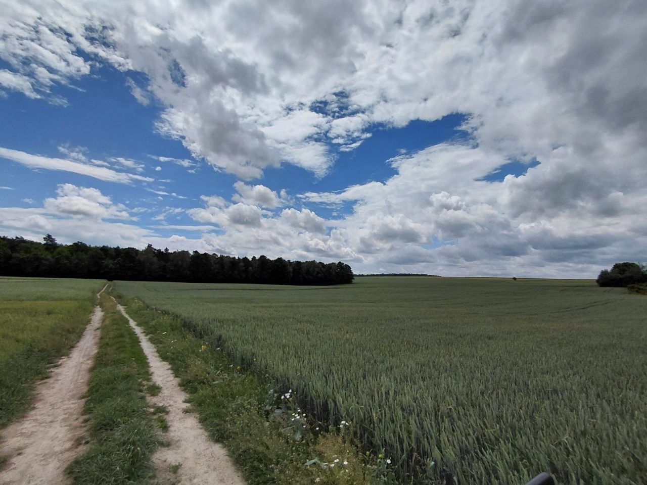 Działka rolna Tuszów. Zdjęcie 3