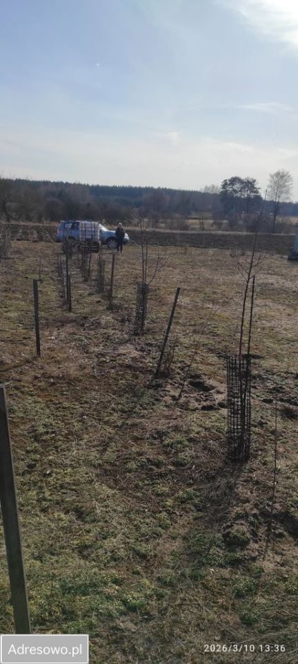 Działka budowlana Niegowiec. Zdjęcie 4