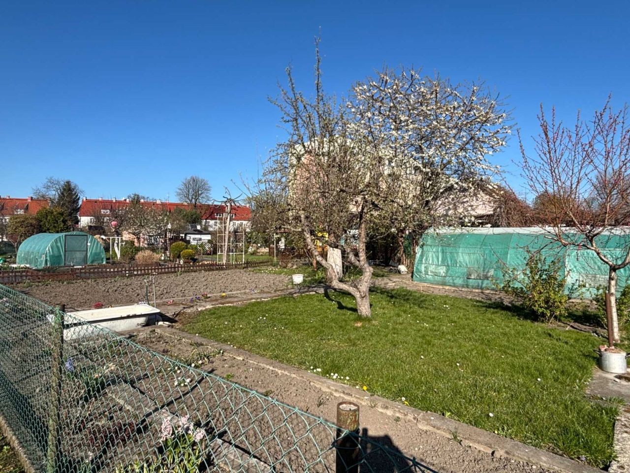 Działka rod Elbląg, ul. Jana Amosa Komeńskiego. Zdjęcie 2