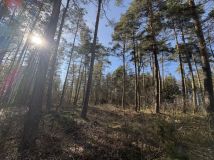 Działka leśna Żukowo. Zdjęcie 4