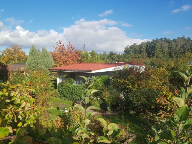 Działka rod Krotoszyn. Zdjęcie 1