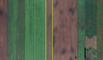 Działka rolno-budowlana Maziarze Nowe