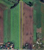 Działka rolno-budowlana Maziarze Nowe