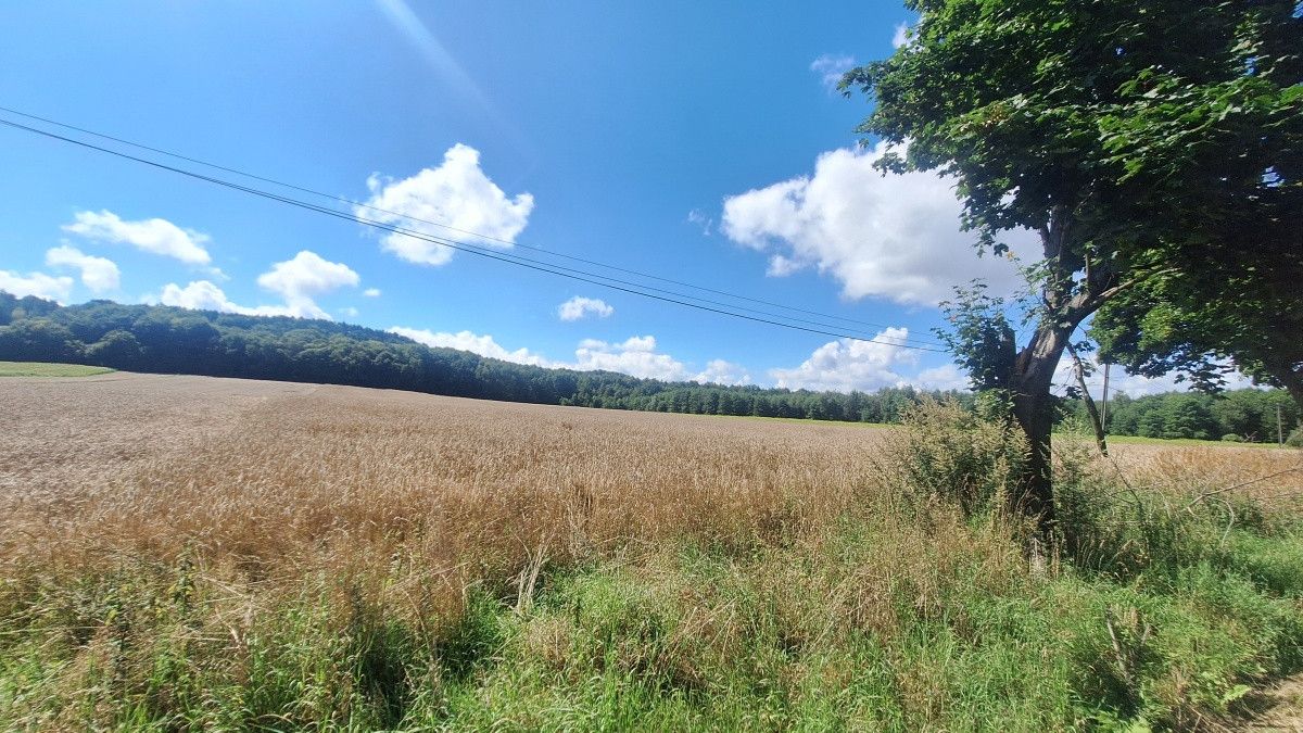 Działka rolna Czułówek. Zdjęcie 4