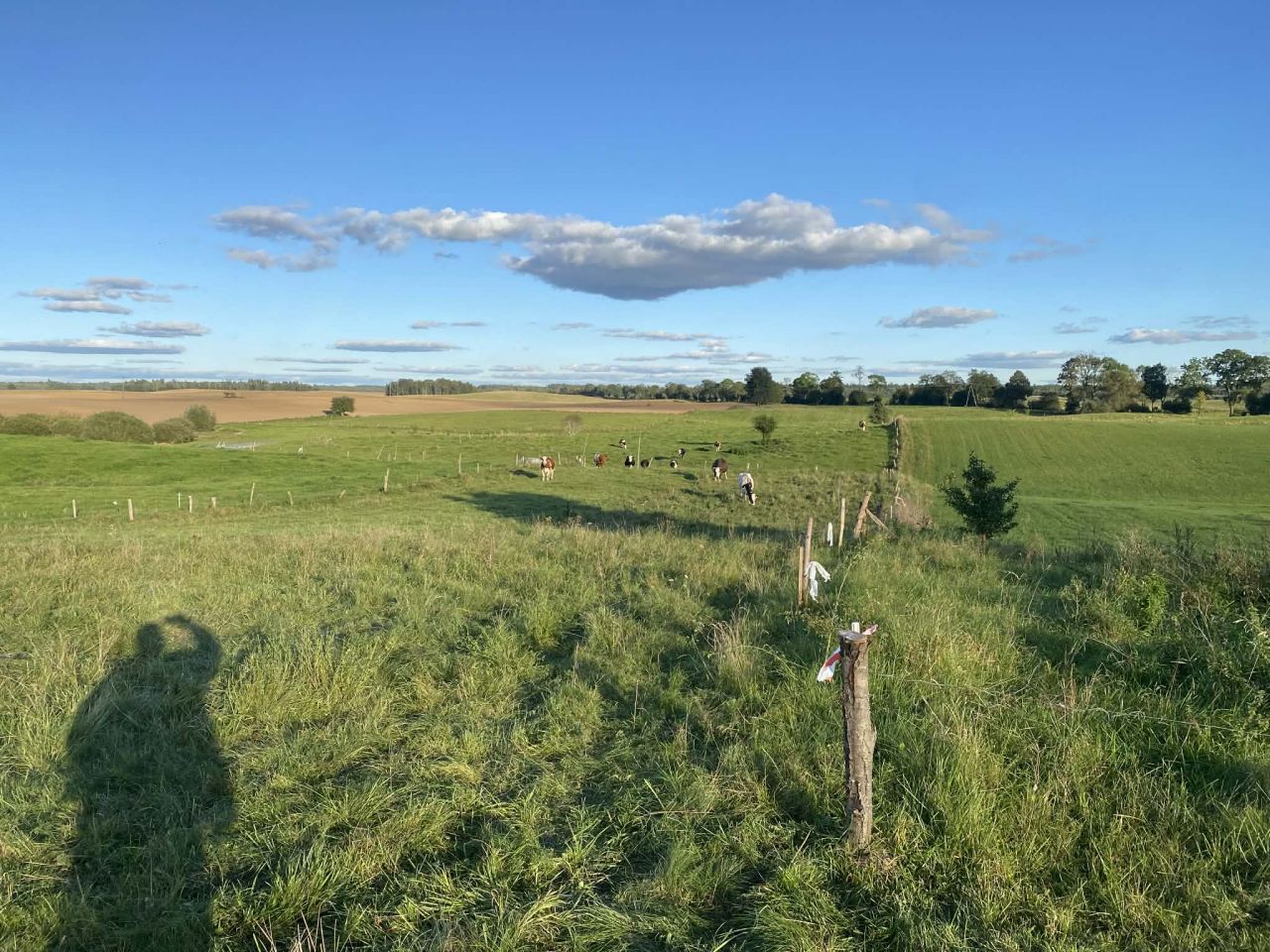 Działka budowlana Jeziorowskie, Jeziorowskie. Zdjęcie 7