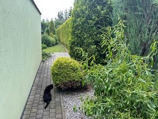 dom wolnostojący, 4 pokoje Bielsko-Biała Lipnik, Władysława Kiernika. Zdjęcie 151