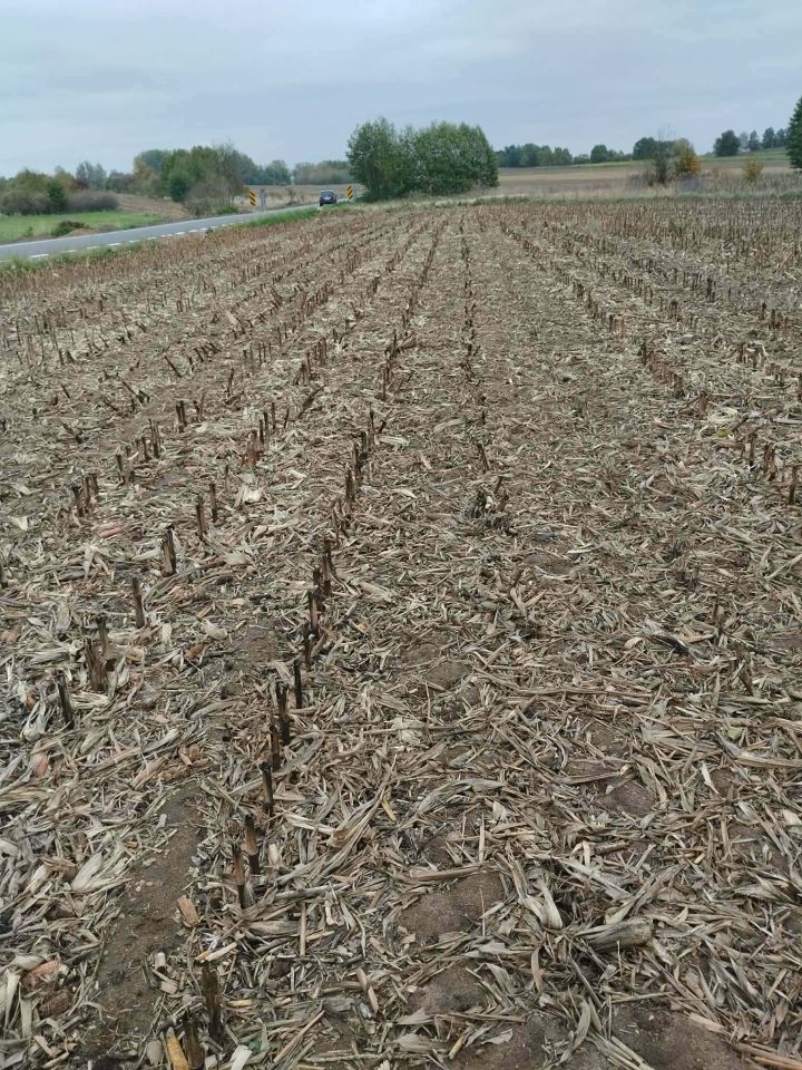Działka rolno-budowlana Słomków, ul. Główna. Zdjęcie 4