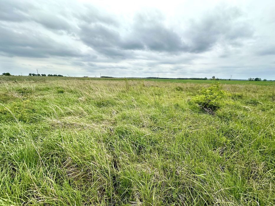 Działka budowlana Chocianowiec