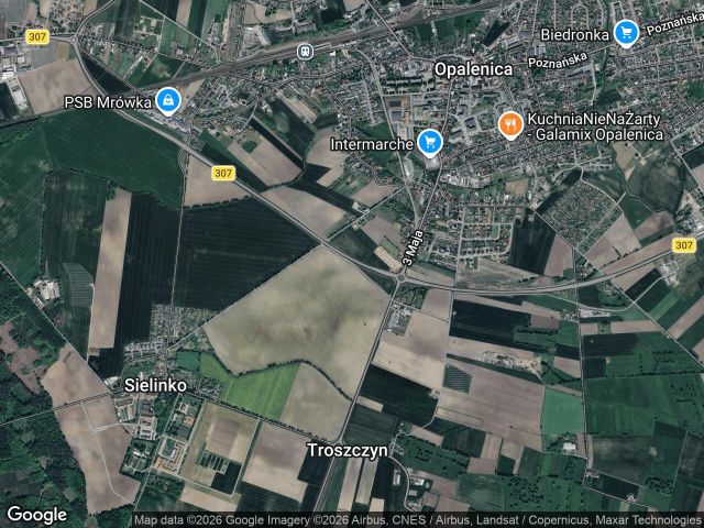 Działka rolno-budowlana Opalenica, ul. Klonowa. Zdjęcie 1