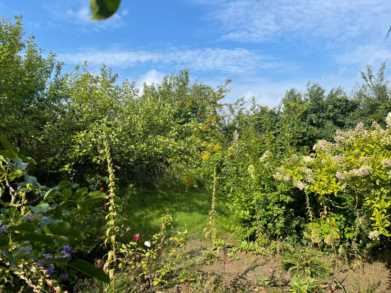 Mieszkanie 2-pokojowe Lubno, ul. Bolesława Chrobrego. Zdjęcie 19