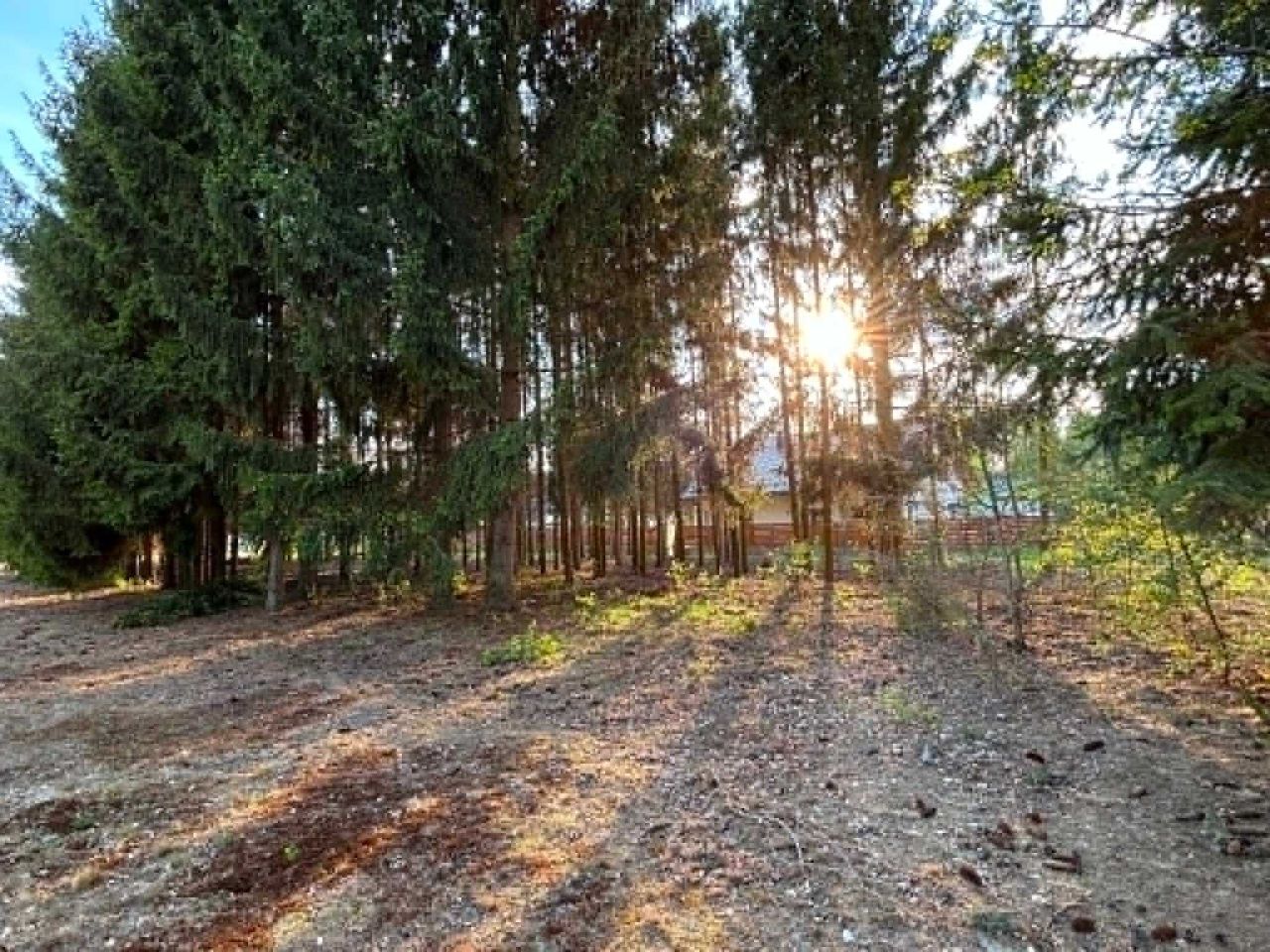Działka budowlana Radonie. Zdjęcie 4