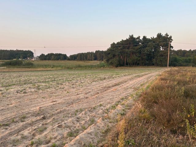 Działka budowlana Lubsin. Zdjęcie 1