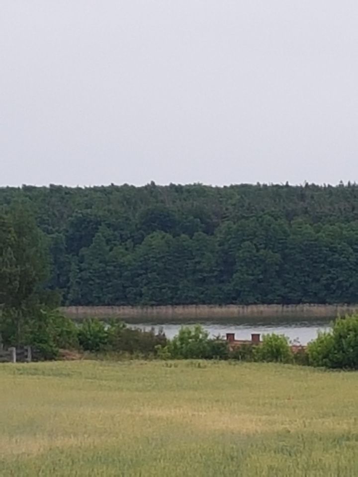 Działka rekreacyjna Chomiąża Księża. Zdjęcie 3