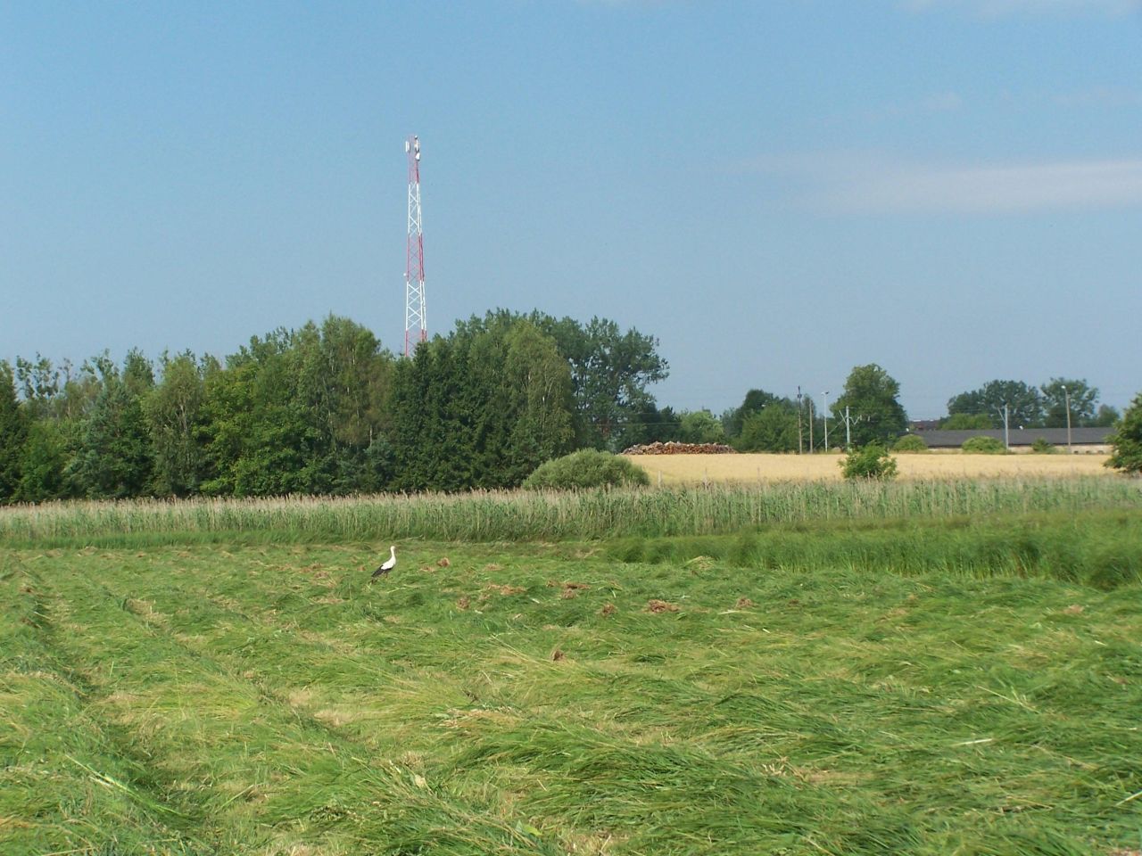 Działka rolno-budowlana Barnkowo. Zdjęcie 6