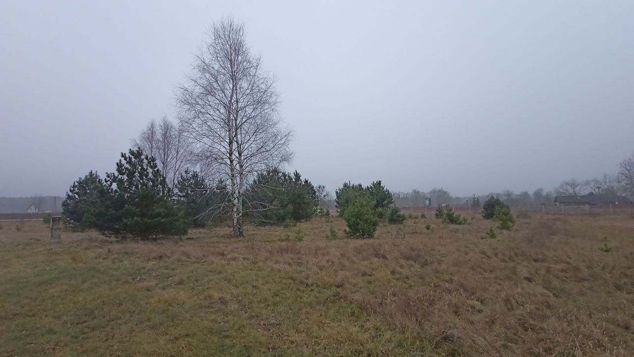 Działka inwestycyjna Wielbark. Zdjęcie 2