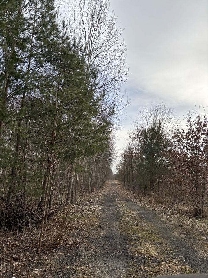 Działka budowlana Dawidów. Zdjęcie 4