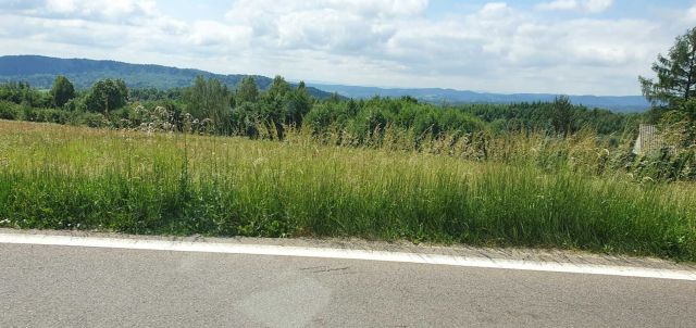 Działka budowlana Gwoźnica Górna Kąty. Zdjęcie 1