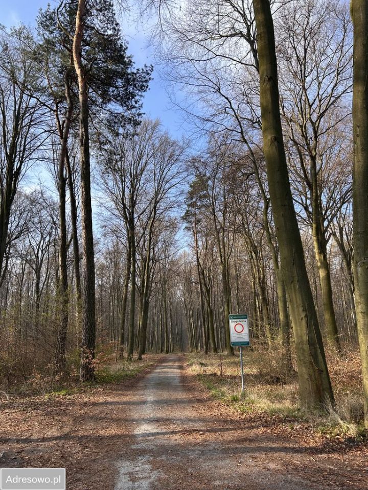 dom wolnostojący, 2 pokoje Uniejów-Rędziny Zakopane. Zdjęcie 19