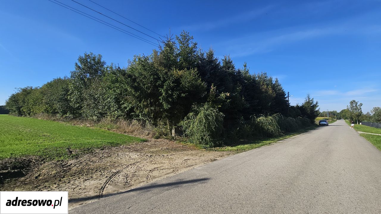 Działka siedliskowa Wola Kuźniewska. Zdjęcie 9