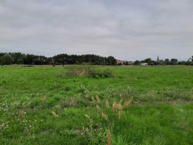 Działka budowlana Pruszków Gąsin, ul. Promyka. Zdjęcie 1