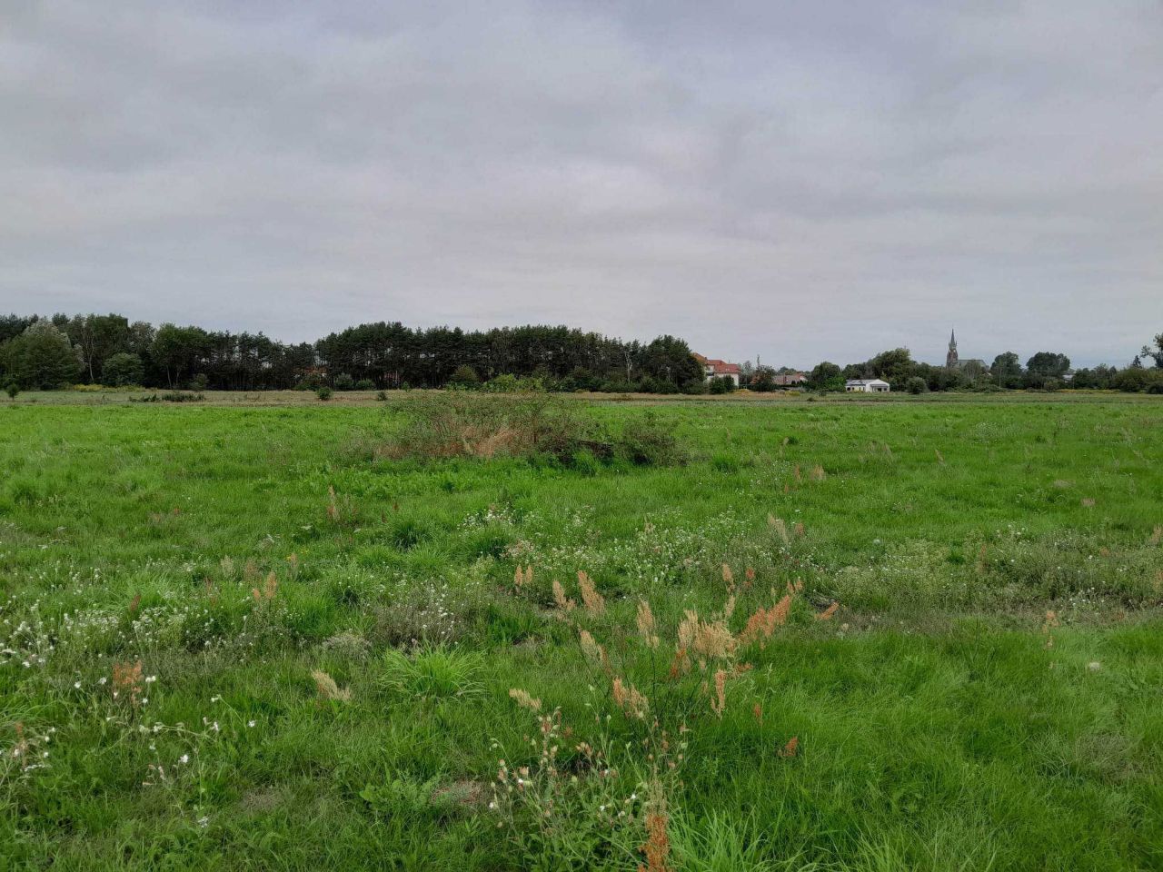 Działka budowlana Pruszków Gąsin, ul. Promyka