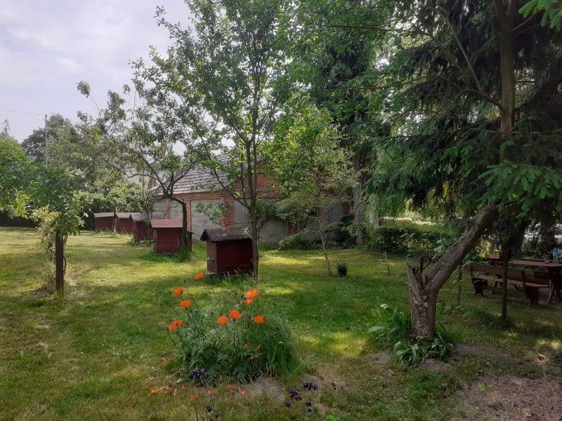 Działka siedliskowa Tuczępy. Zdjęcie 8