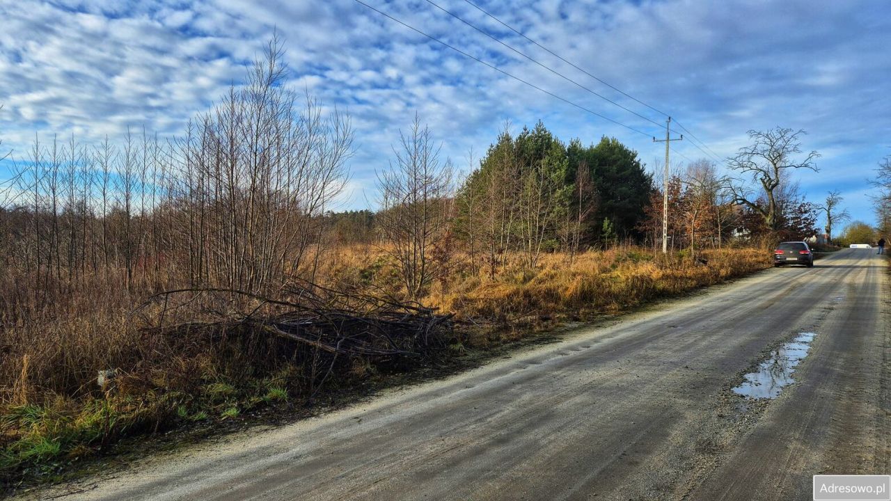 Działka budowlana Dobrojewo. Zdjęcie 3