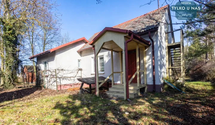 Działka rekreacyjna Trzepnica