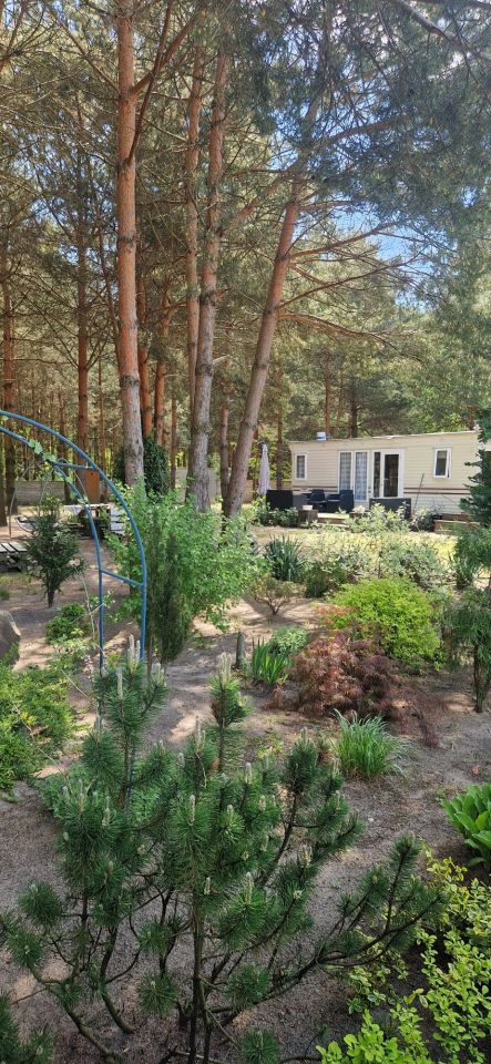 Działka budowlana Daniszewice. Zdjęcie 2