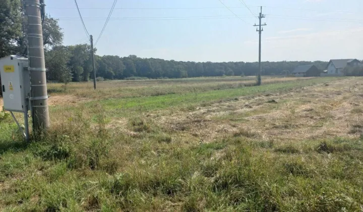 Działka rolna Ispnia