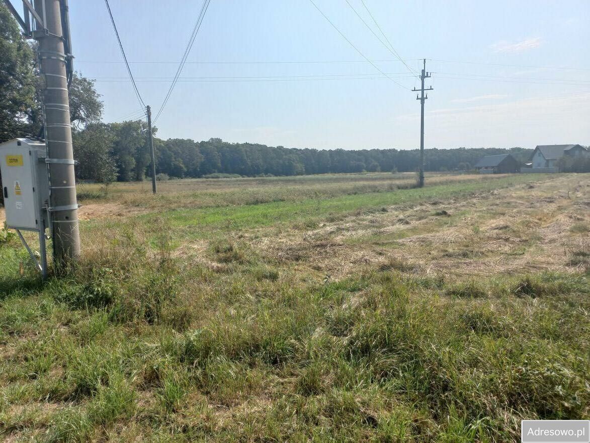 Działka rolna Ispnia. Zdjęcie 1