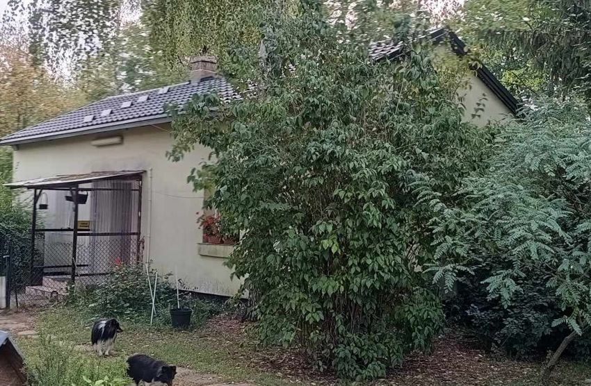 dom wolnostojący, 5 pokoi Budy Michałowskie. Zdjęcie 18