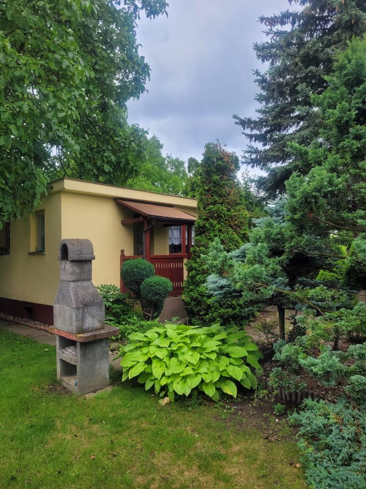 Działka rod Tczew, ul. Targowa. Zdjęcie 3