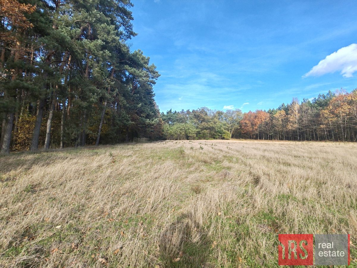 Działka budowlana Dziadowice. Zdjęcie 5