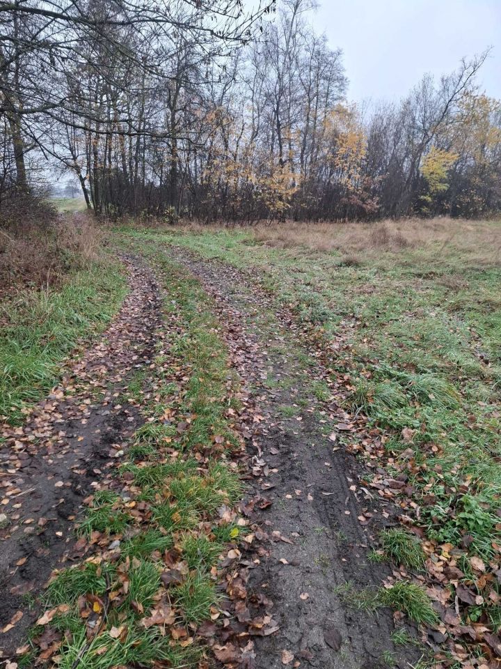 Działka rolna Kletnia. Zdjęcie 2