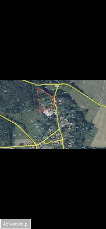 Działka siedliskowa Stary Kraków. Zdjęcie 15