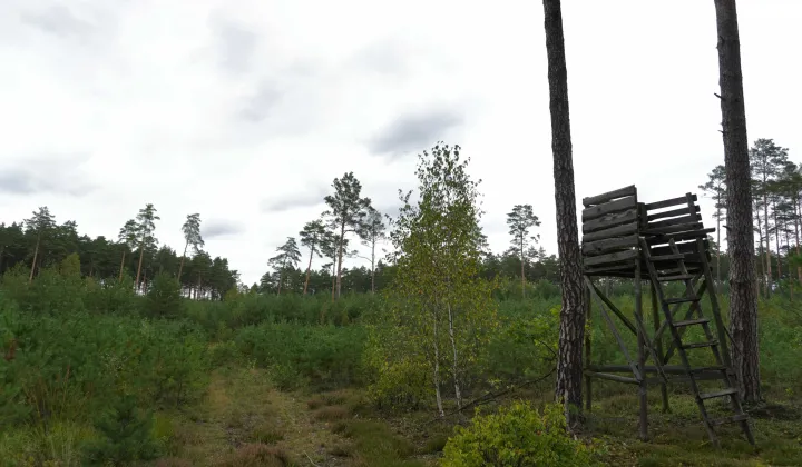 Działka budowlana Rogóźnia