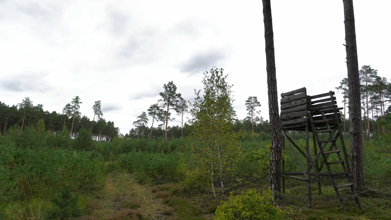 Działka budowlana Rogóźnia. Zdjęcie 1