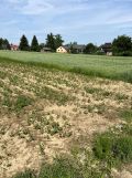 Działka budowlana Wola Przemykowska. Zdjęcie 2