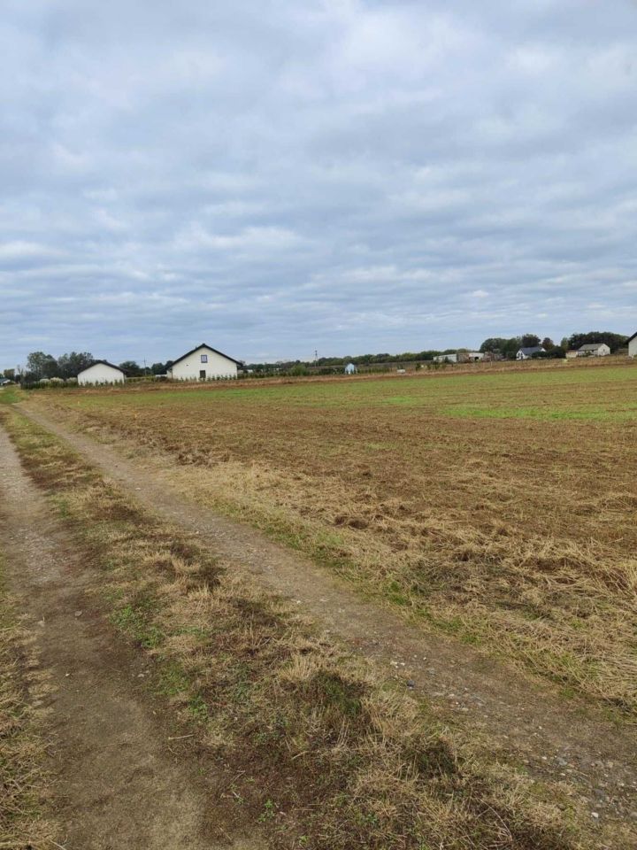 Działka rolno-budowlana Mała Nieszawka. Zdjęcie 2