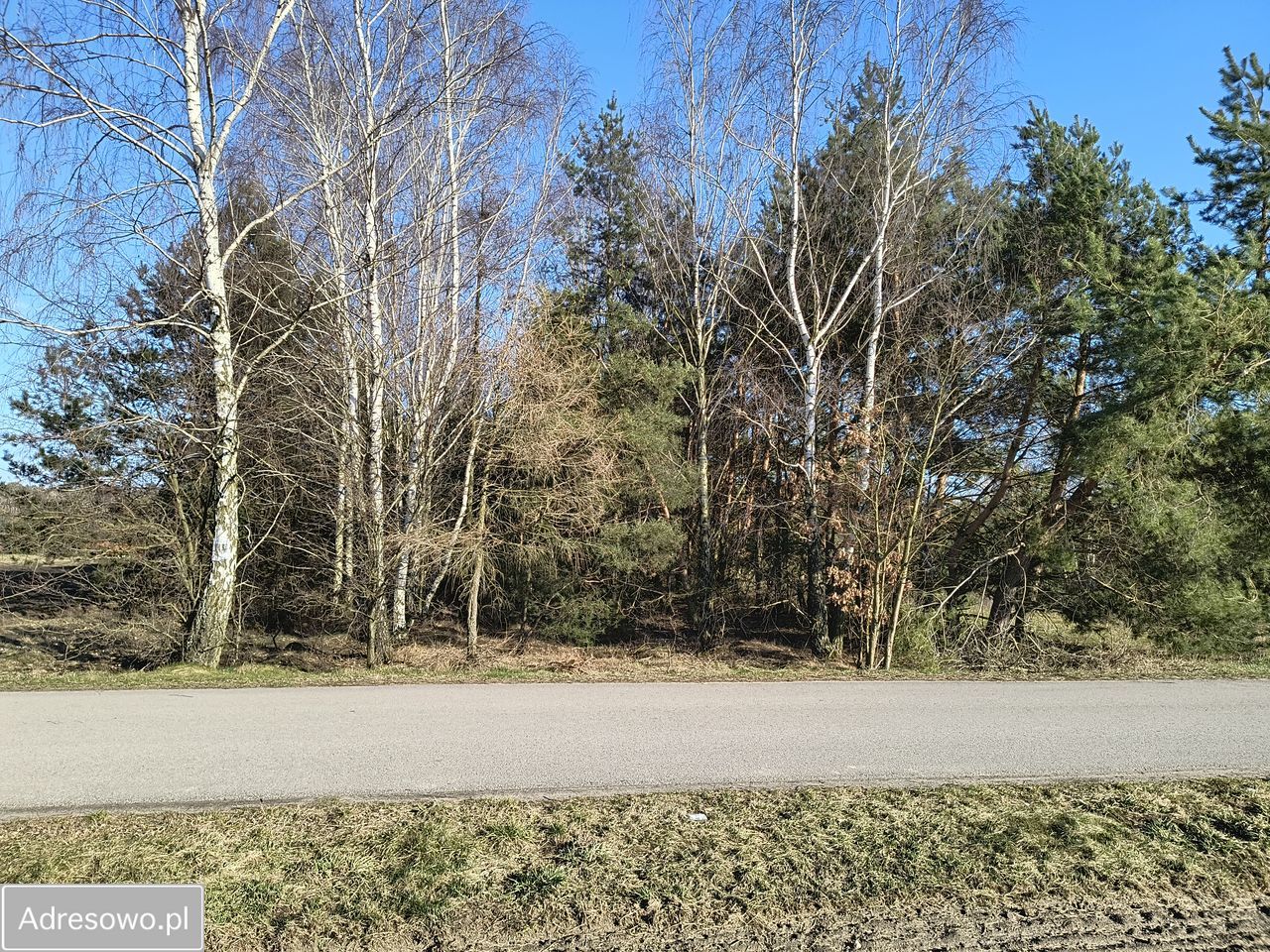 Działka budowlana Wysieradz. Zdjęcie 4