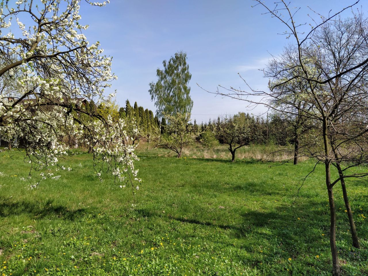 Działka inwestycyjna Falęcice-Wola