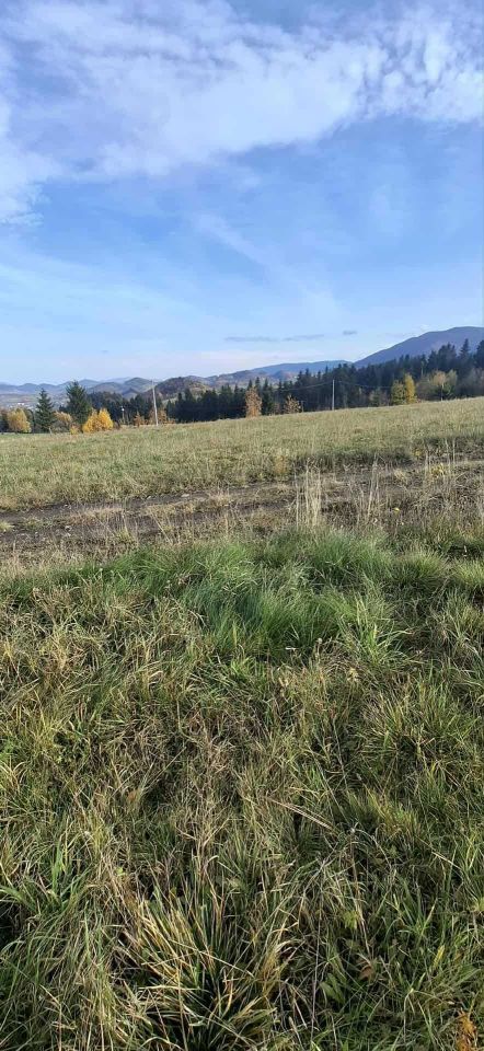 Działka budowlana Wierzbanowa. Zdjęcie 4