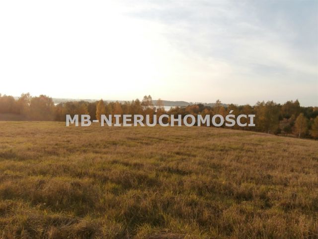 Działka rolno-budowlana Silice. Zdjęcie 5