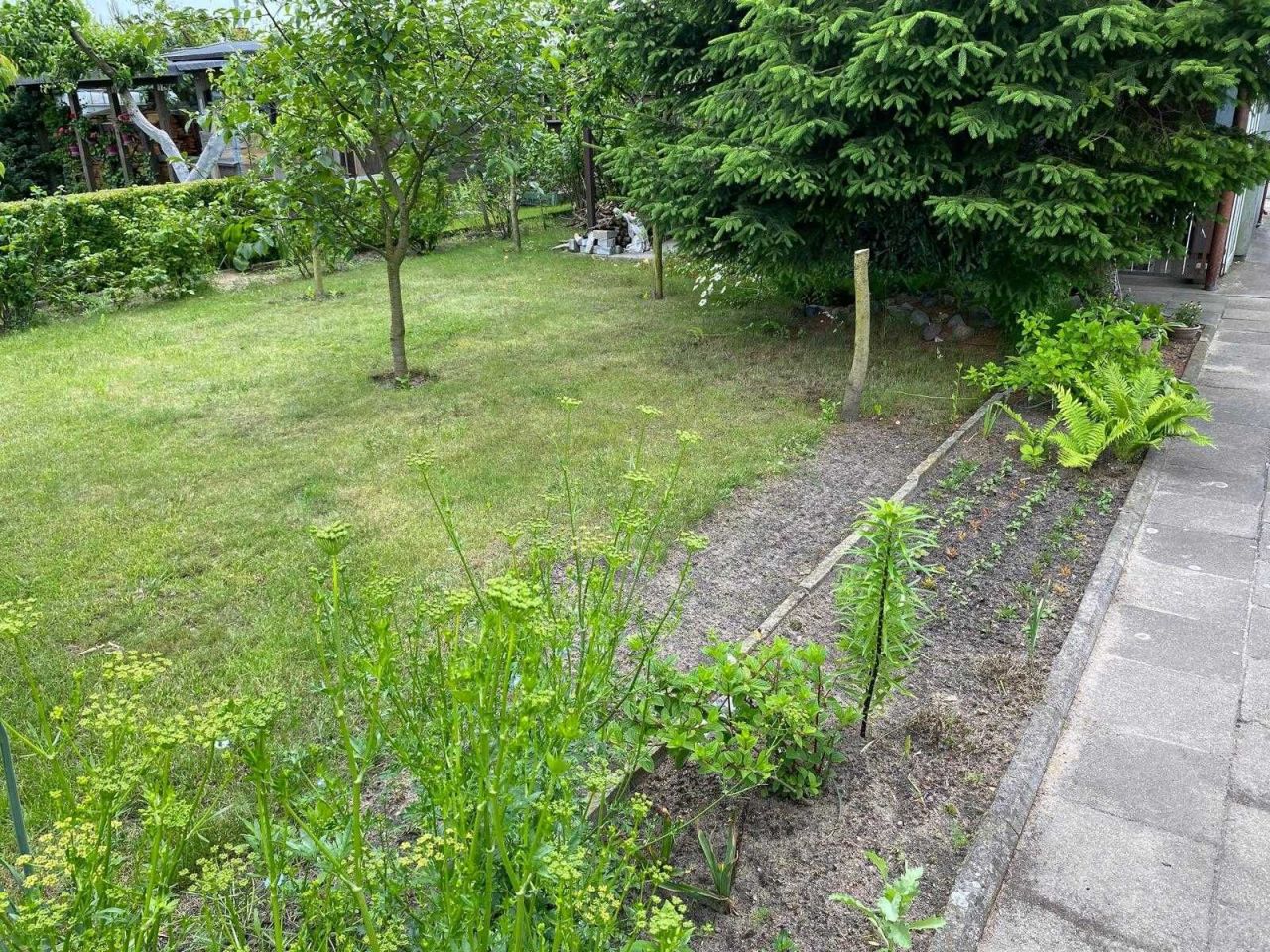 Działka rod Wągrowiec, ul. Gnieźnieńska. Zdjęcie 7