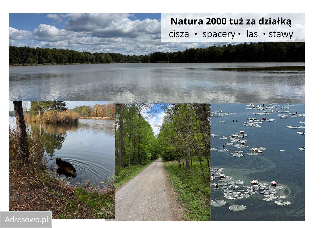 Działka budowlana Jaworzno Byczyna, ul. Abstorskich. Zdjęcie 11