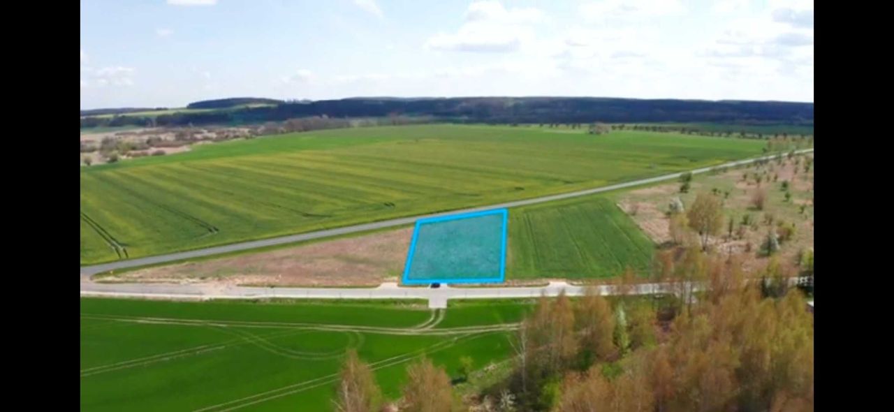 Działka inwestycyjna Chojna. Zdjęcie 1
