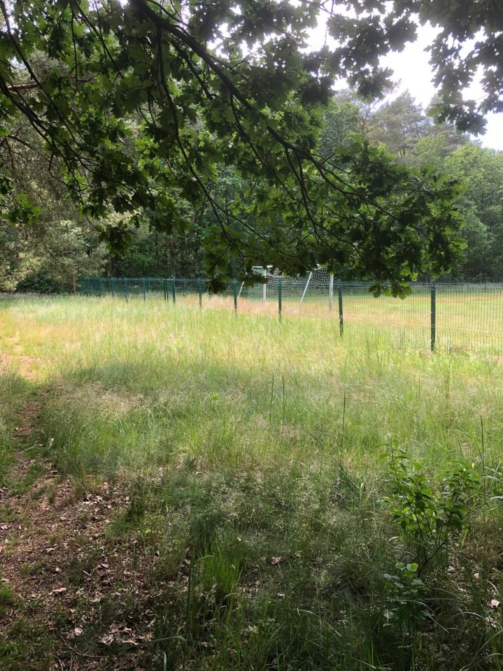 Działka rolno-budowlana Brzózki. Zdjęcie 4