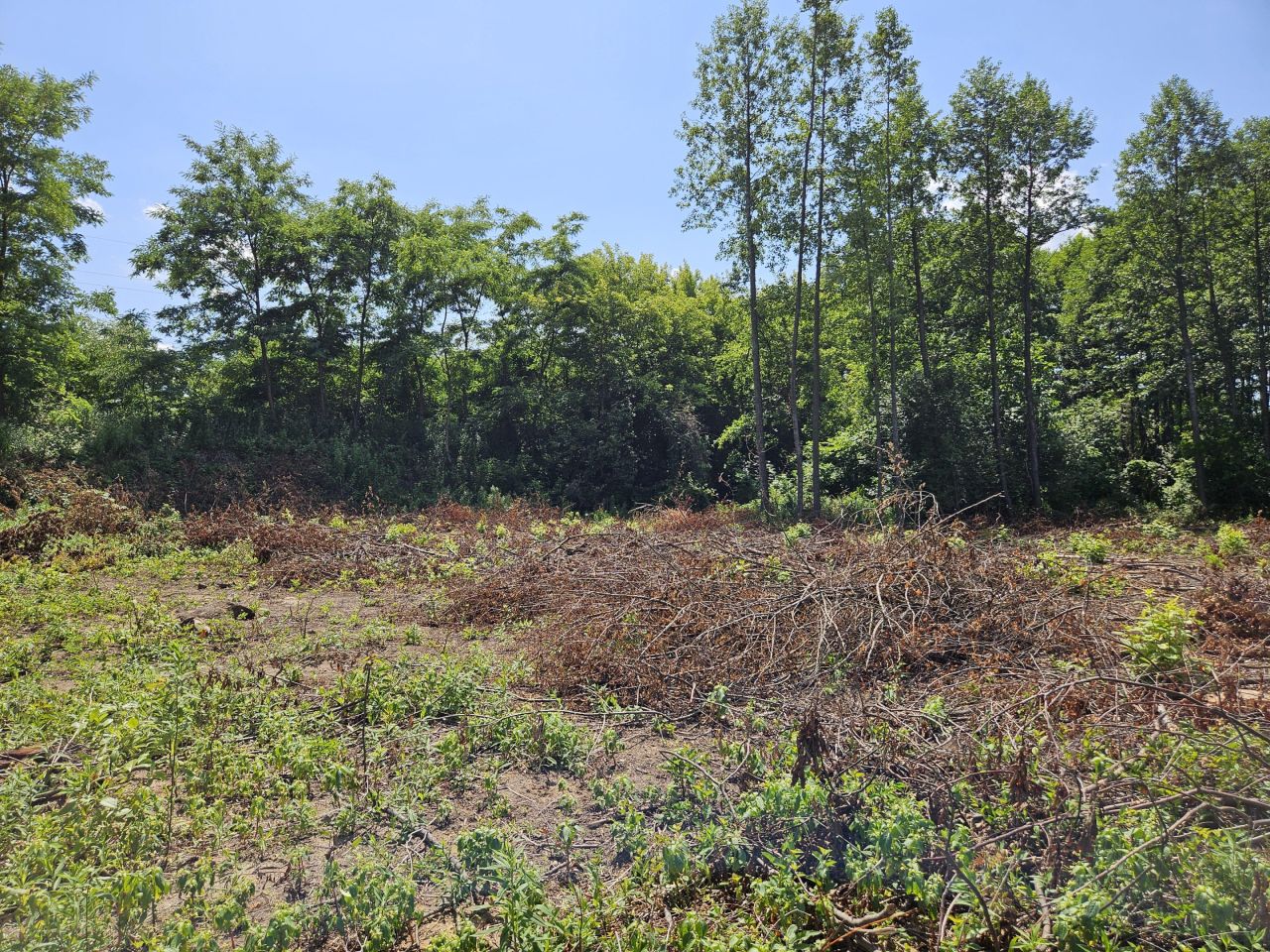 Działka rolna Pustynia. Zdjęcie 6
